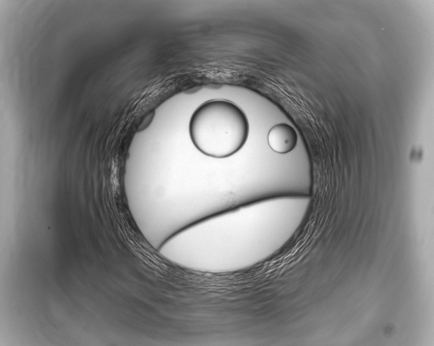 X0000099551106200805160719