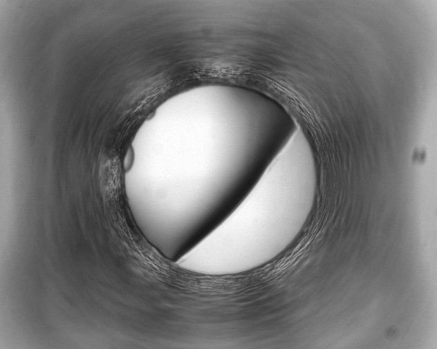 X0000099551107200805160719