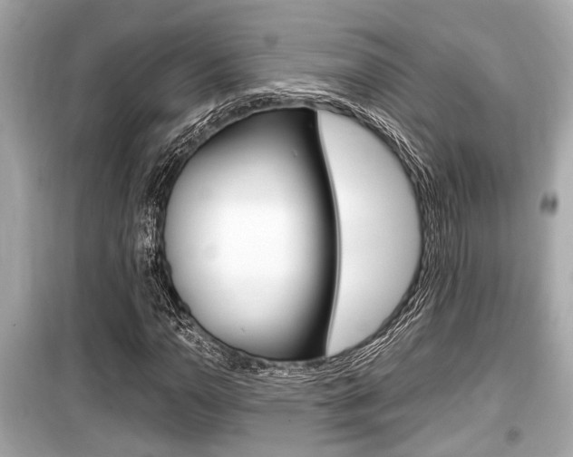 X0000099551110200805160719