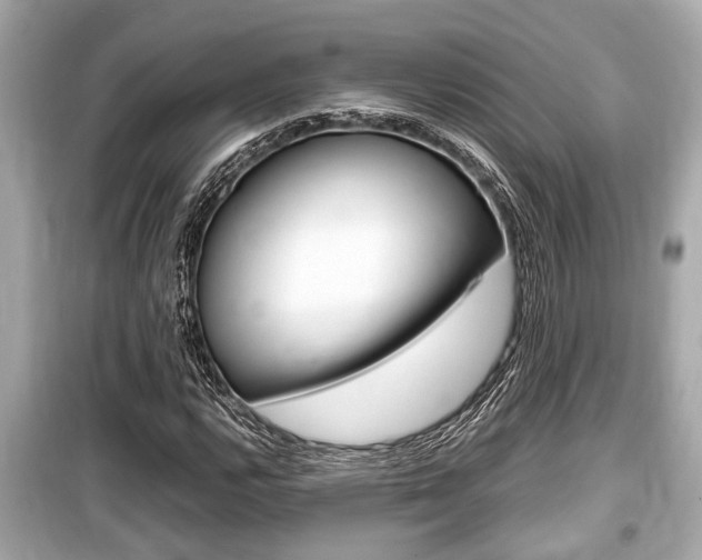 X0000099551112200805160719