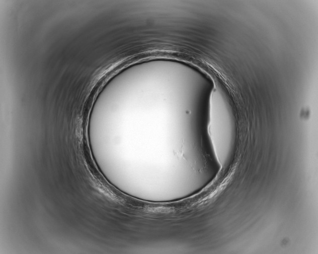 X0000099551113200805160719