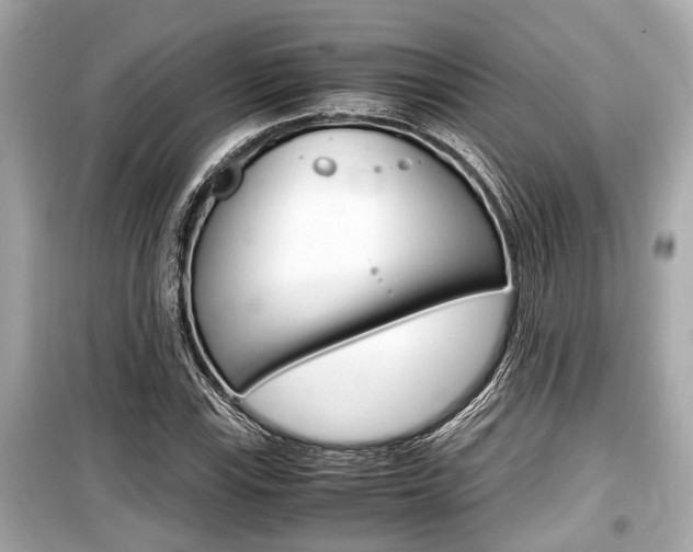 X0000099551115200805160719