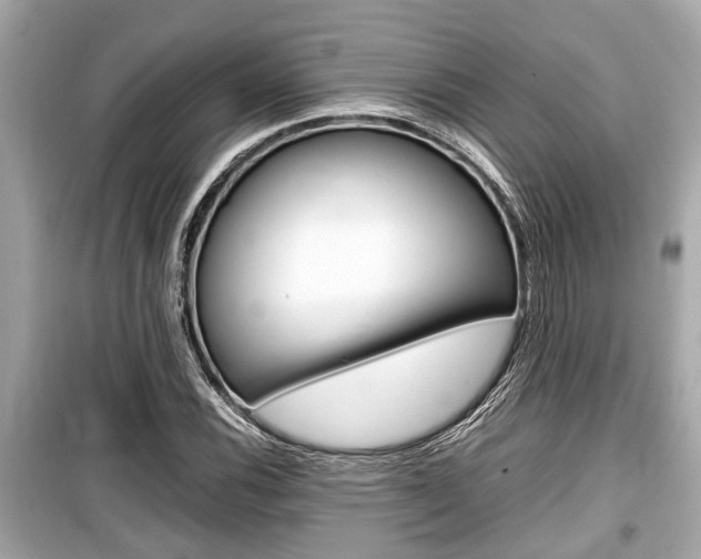 X0000099551116200805160719