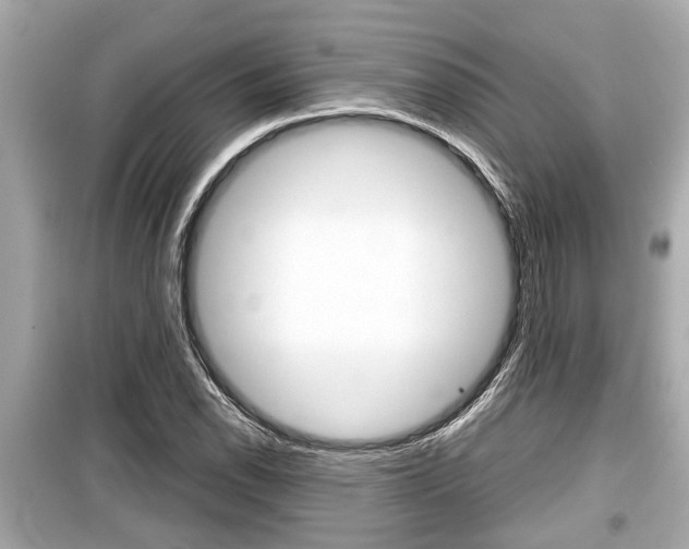 X0000099551118200805160719