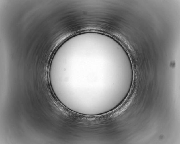 X0000099551121200805160720