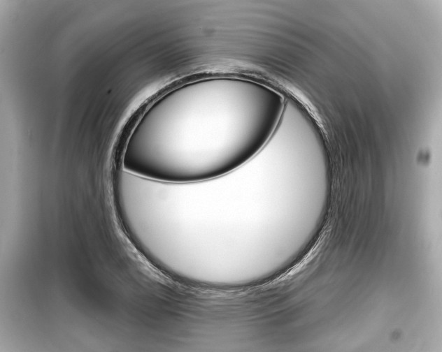 X0000099551122200805160720
