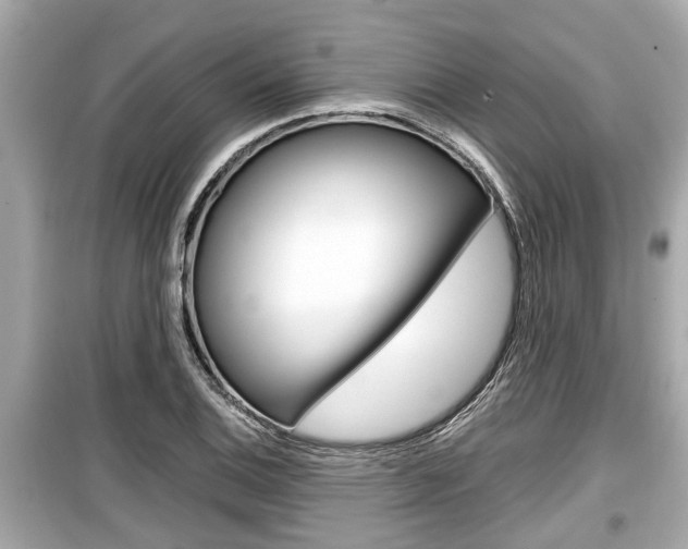 X0000099551124200805160720