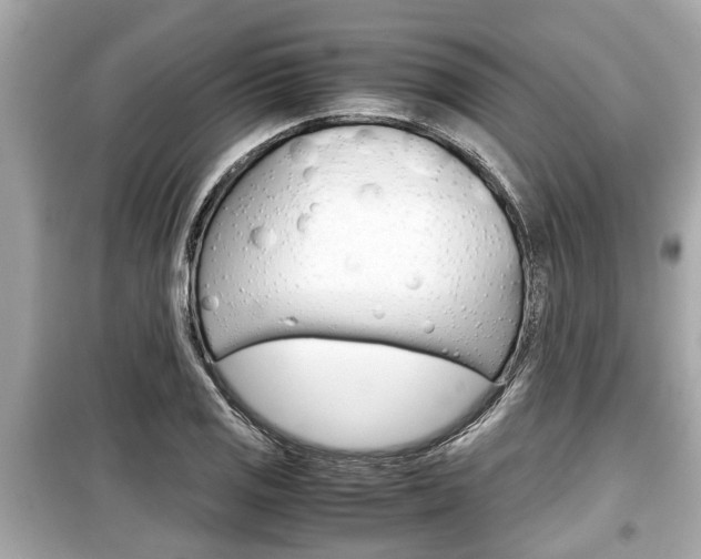 X0000099551125200805160720