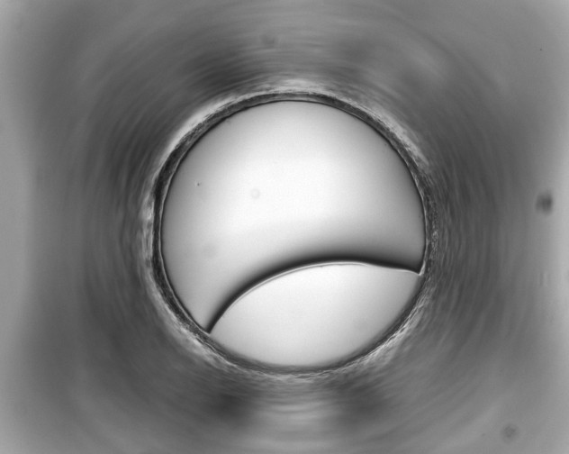X0000099551126200805160720