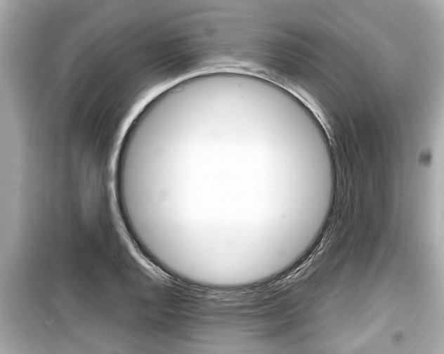 X0000099551128200805160720