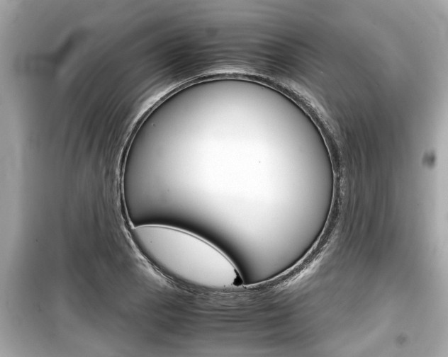 X0000099551129200805160720