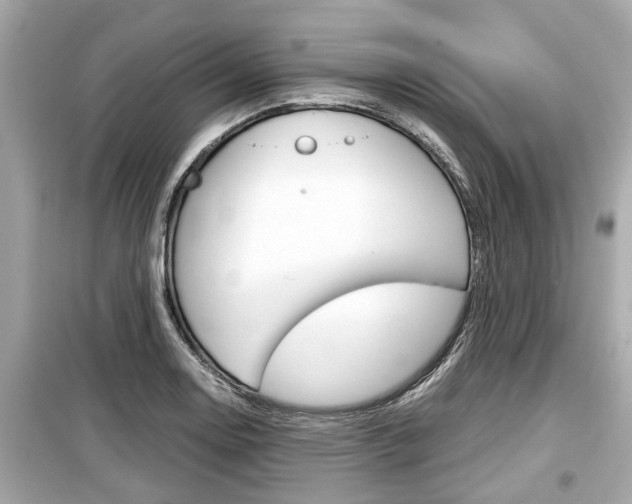 X0000099551130200805160720