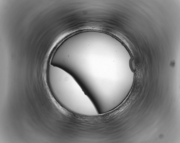 X0000099551131200805160720