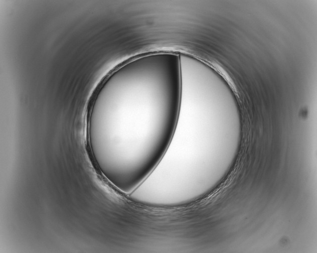 X0000099551132200805160720