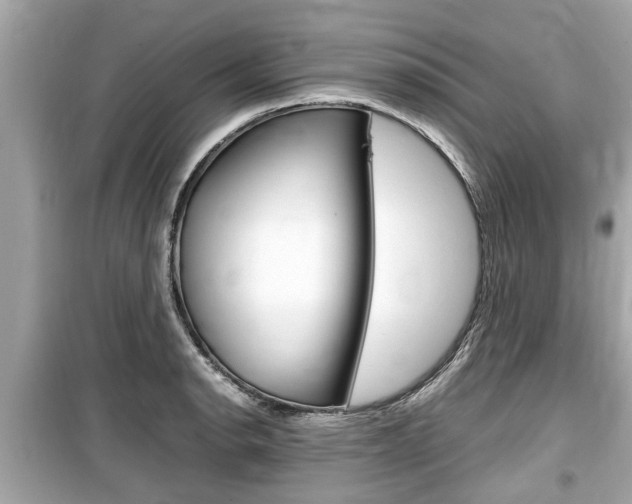 X0000099551134200805160720