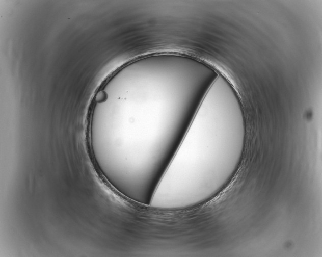 X0000099551135200805160720