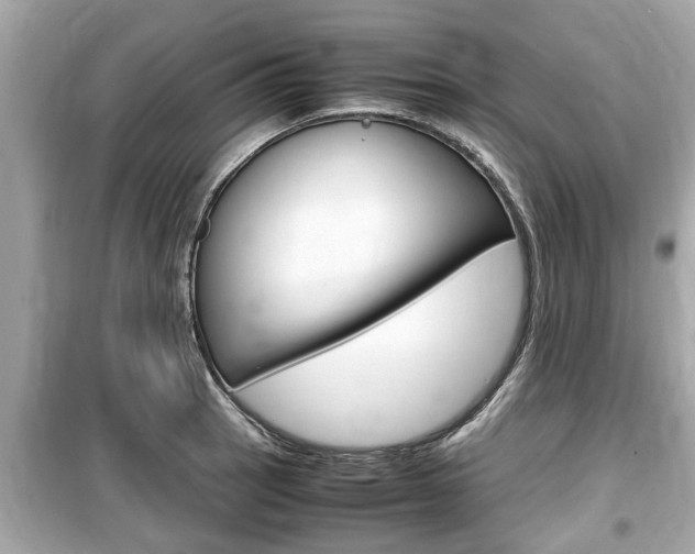 X0000099551137200805160720