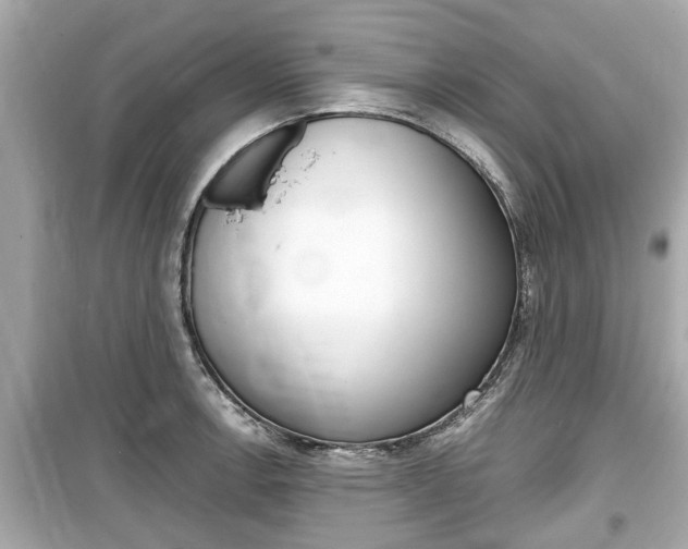 X0000099551138200805160720