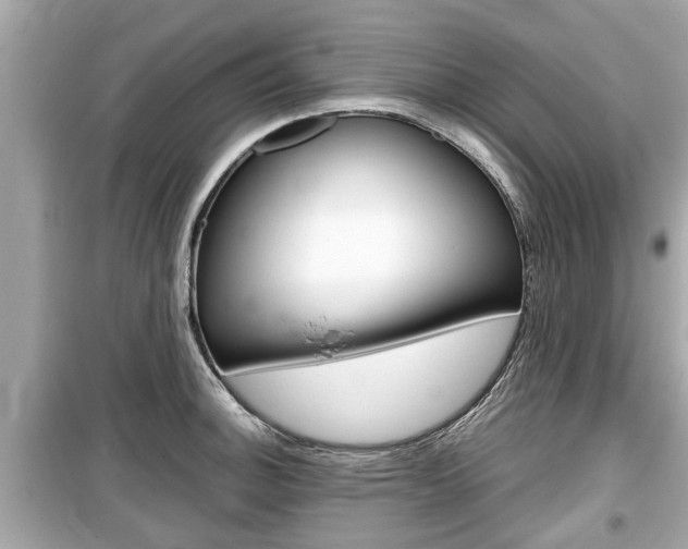 X0000099551140200805160720