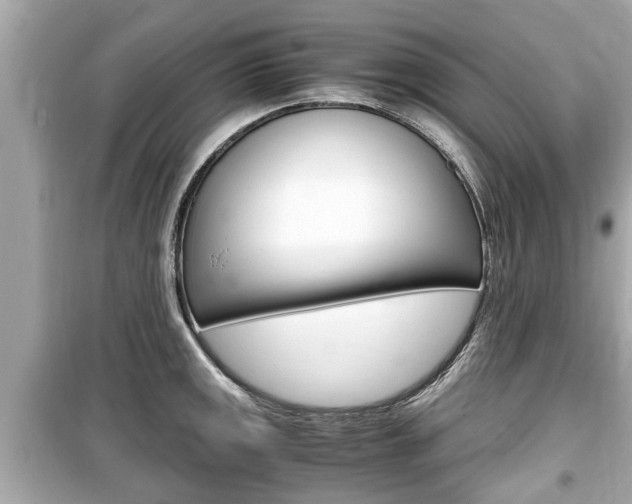 X0000099551141200805160720
