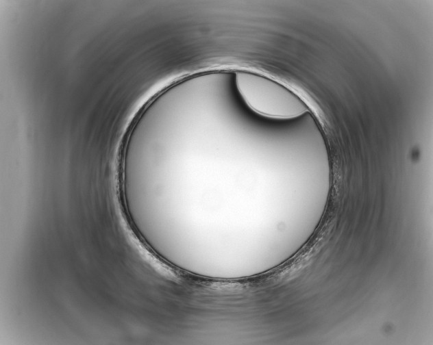 X0000099551142200805160720