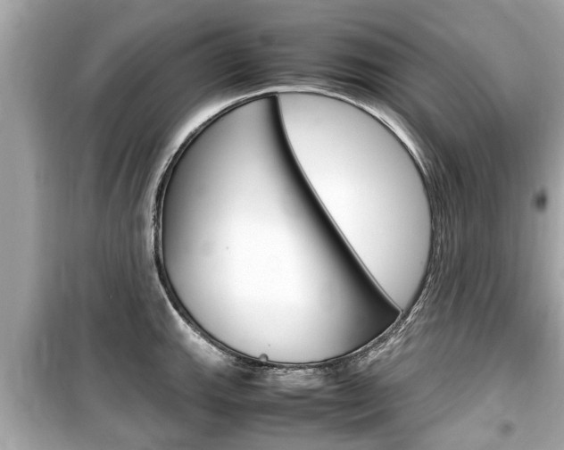 X0000099551143200805160720
