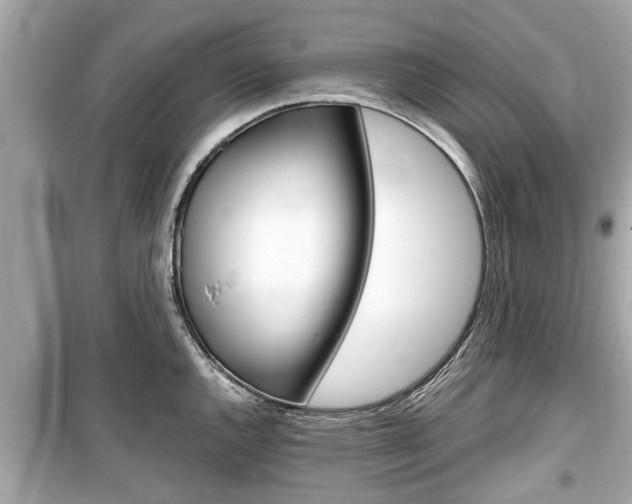 X0000099551144200805160720