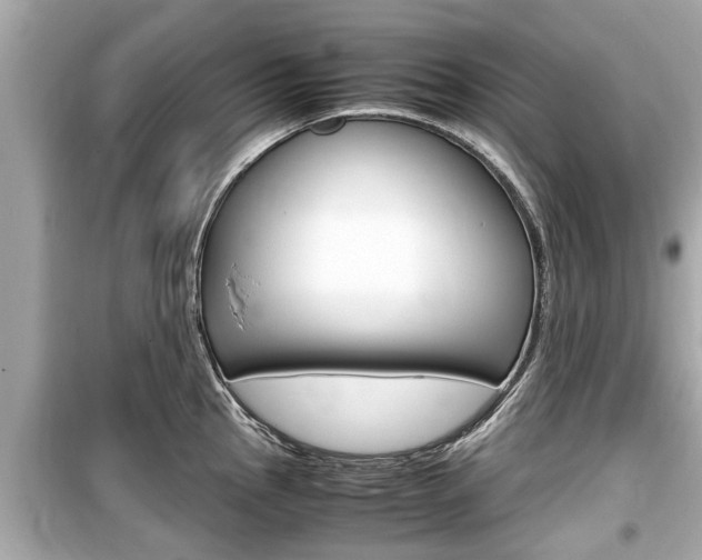 X0000099551145200805160720