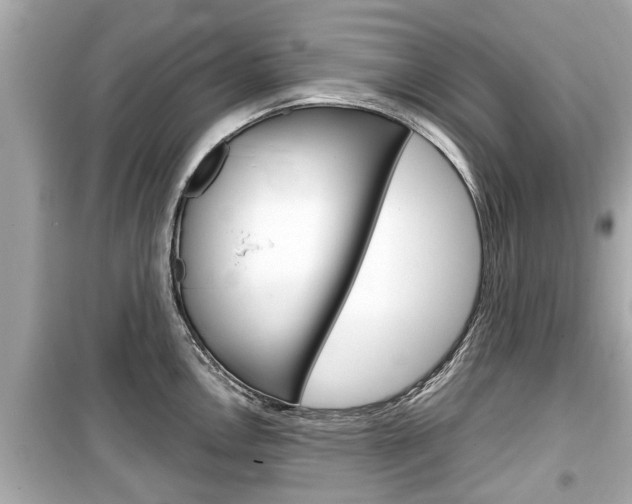 X0000099551146200805160720