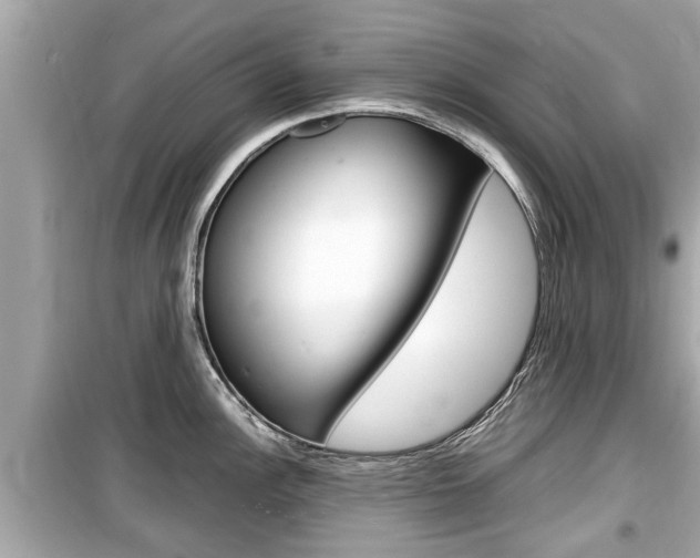 X0000099551148200805160720