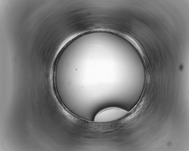 X0000099551149200805160720