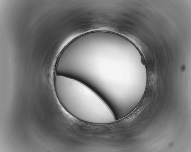 X0000099551151200805160720
