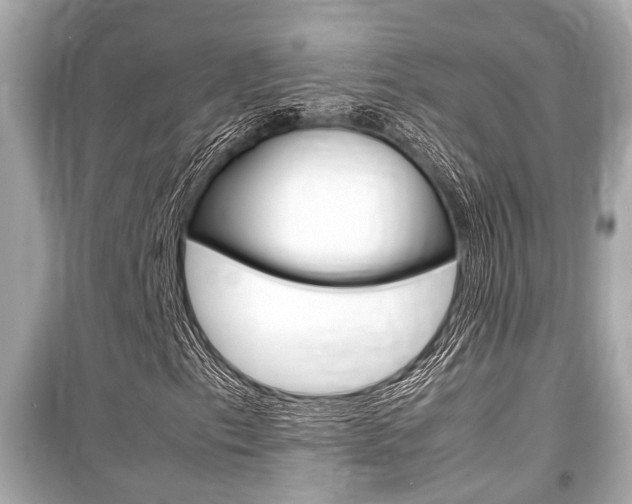 X0000099551153200805160719