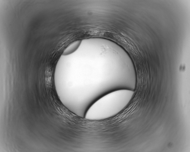 X0000099551154200805160719