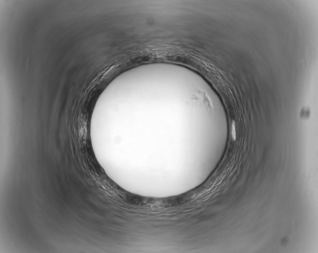 X0000099551155200805160719