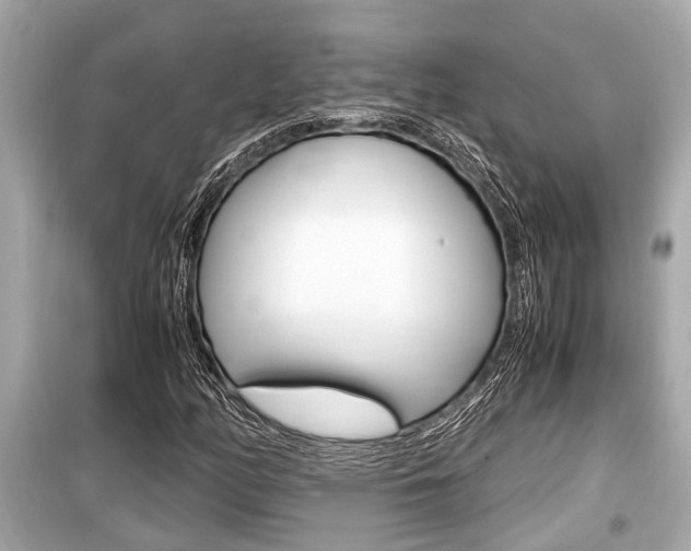 X0000099551158200805160719
