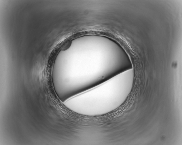 X0000099551159200805160719