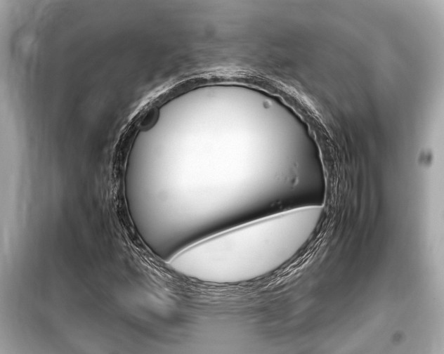 X0000099551160200805160719