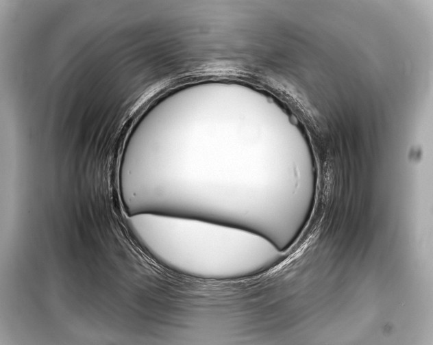 X0000099551162200805160719