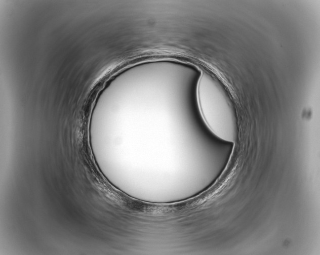 X0000099551163200805160719