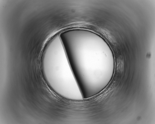 X0000099551164200805160719