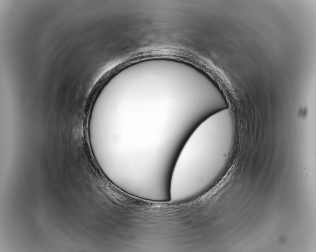 X0000099551166200805160719
