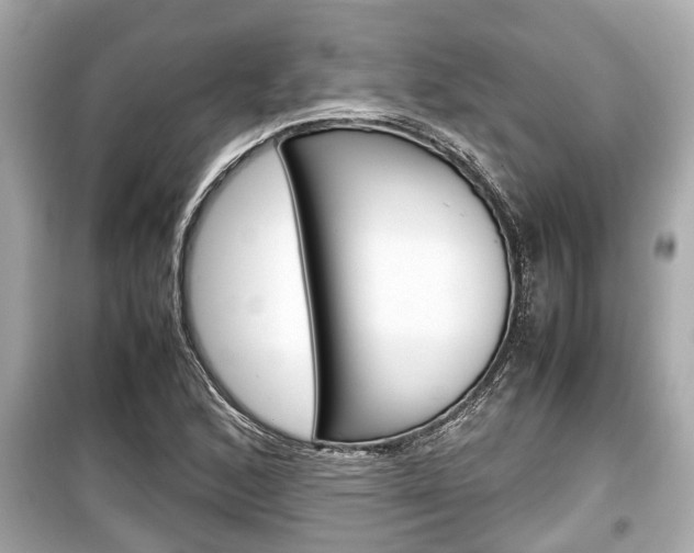 X0000099551168200805160719