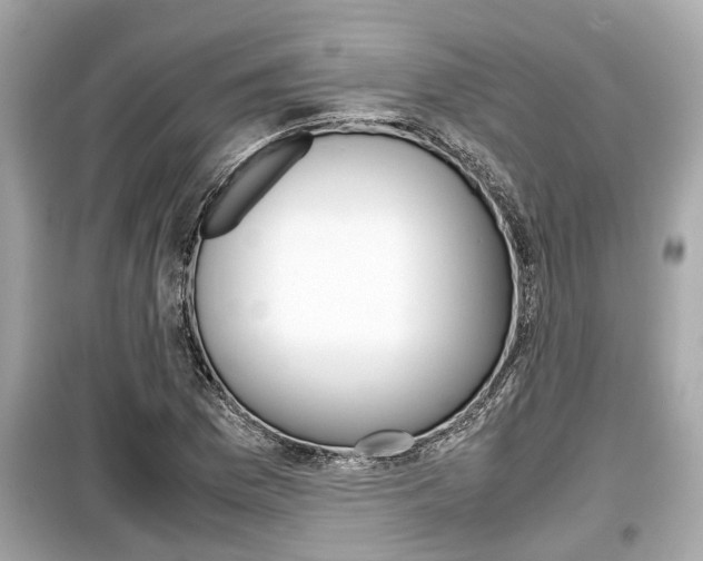 X0000099551169200805160719