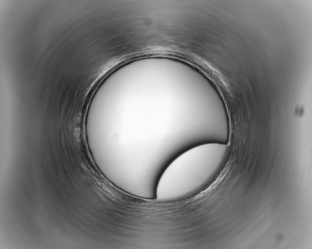 X0000099551170200805160719