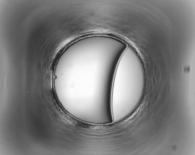 X0000099551171200805160719