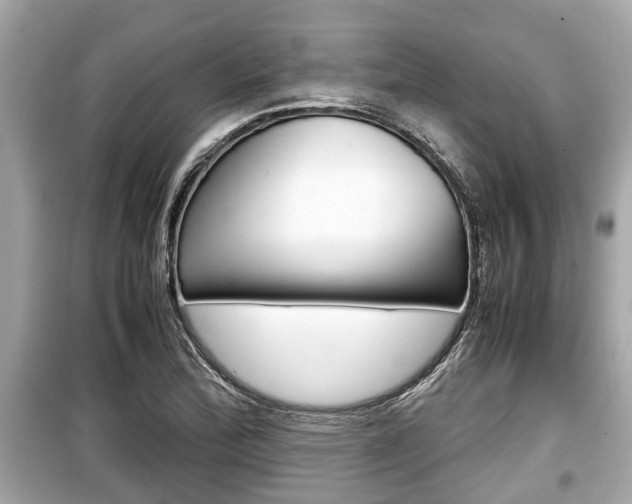 X0000099551172200805160719