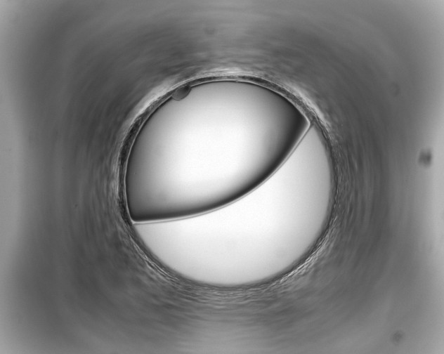 X0000099551173200805160719