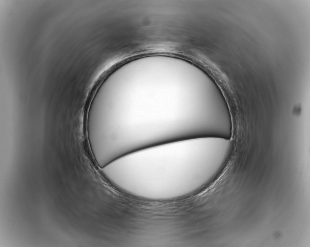 X0000099551174200805160719