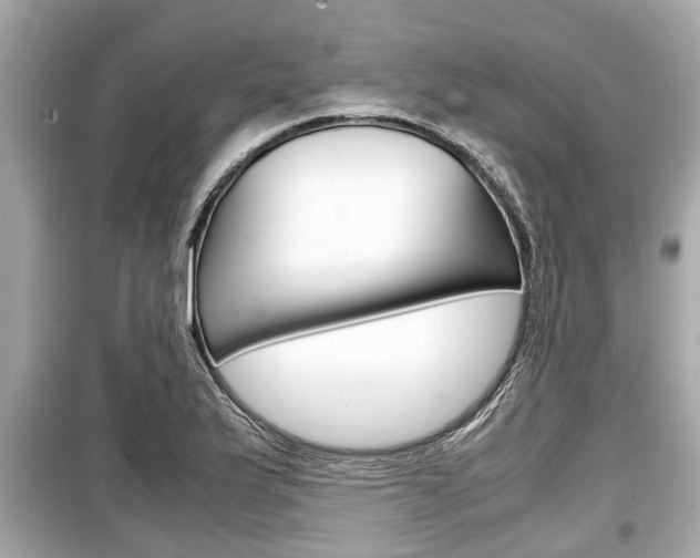 X0000099551175200805160719